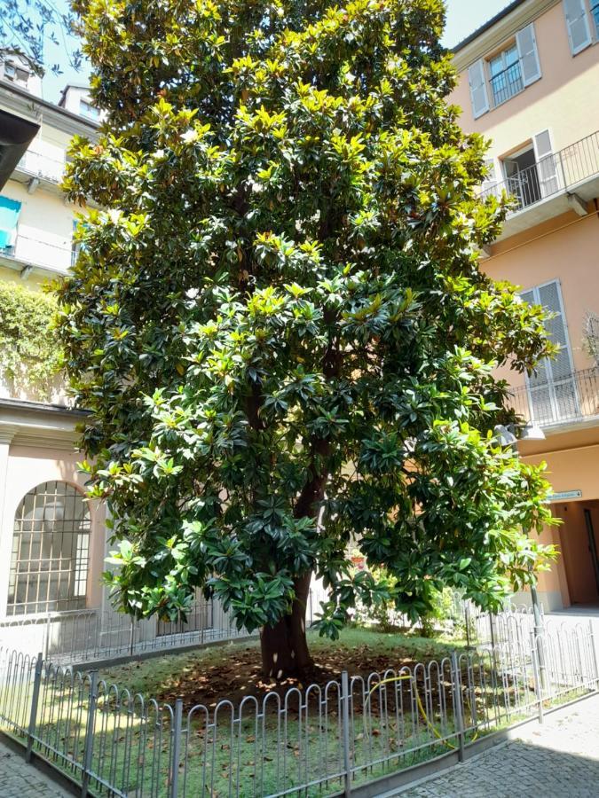 Central Garibaldi Loft, A Piedi A Palazzo Reale Turin Luaran gambar